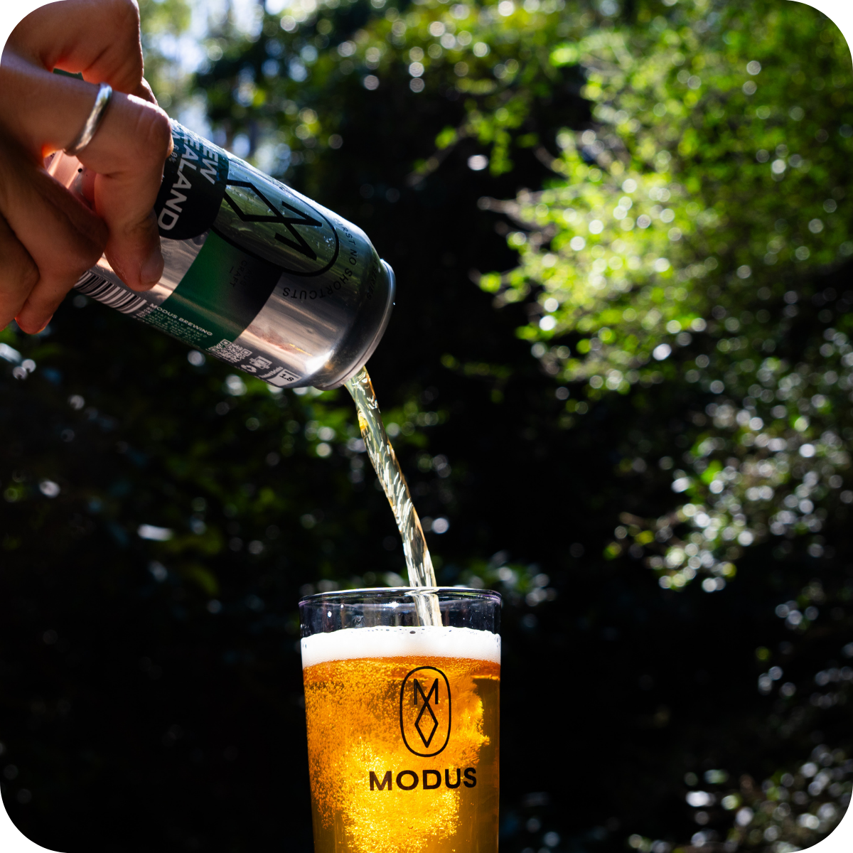 *š£ Big Hop Bomb Brewery Tourā¢
