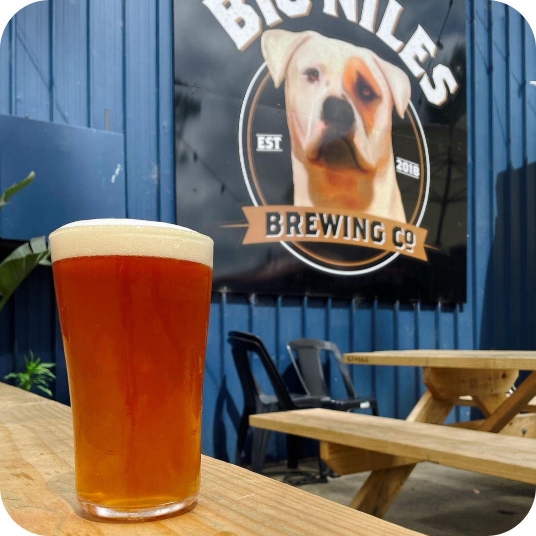 *Big Hop Bomb Brewery Tour™