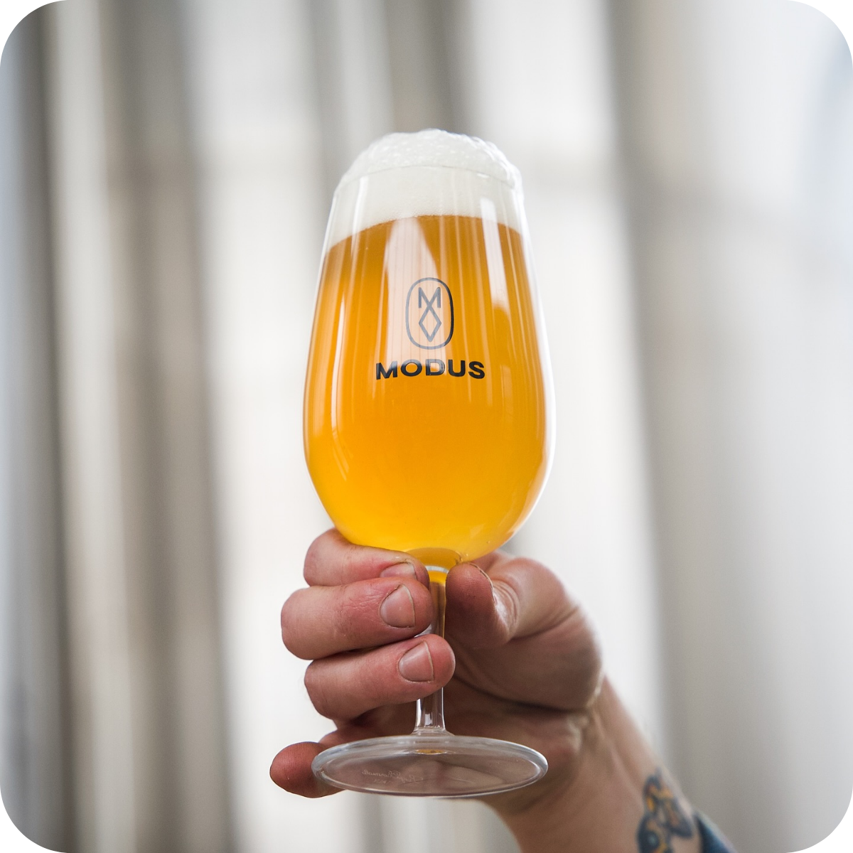 *š£ Big Hop Bomb Brewery Tourā¢