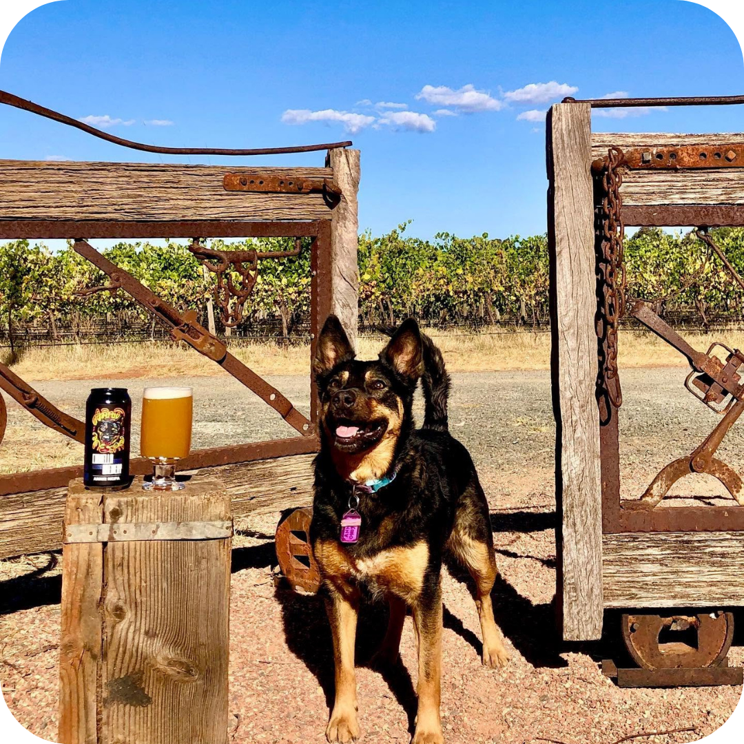 *Big Hop Bomb Brewery Tour™