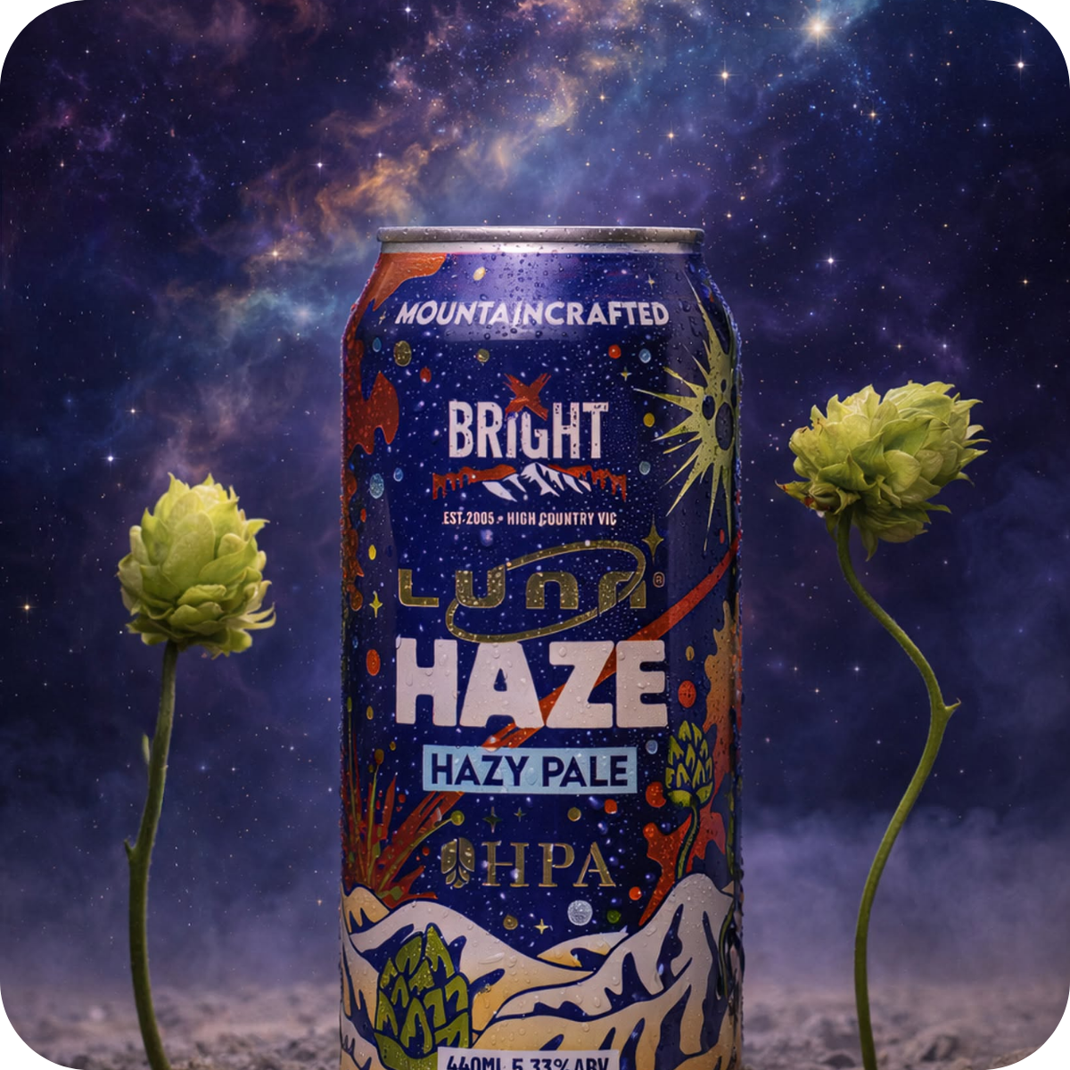 *🤫 Member Only: Bright Brewing 'Bright vs Dark' Box