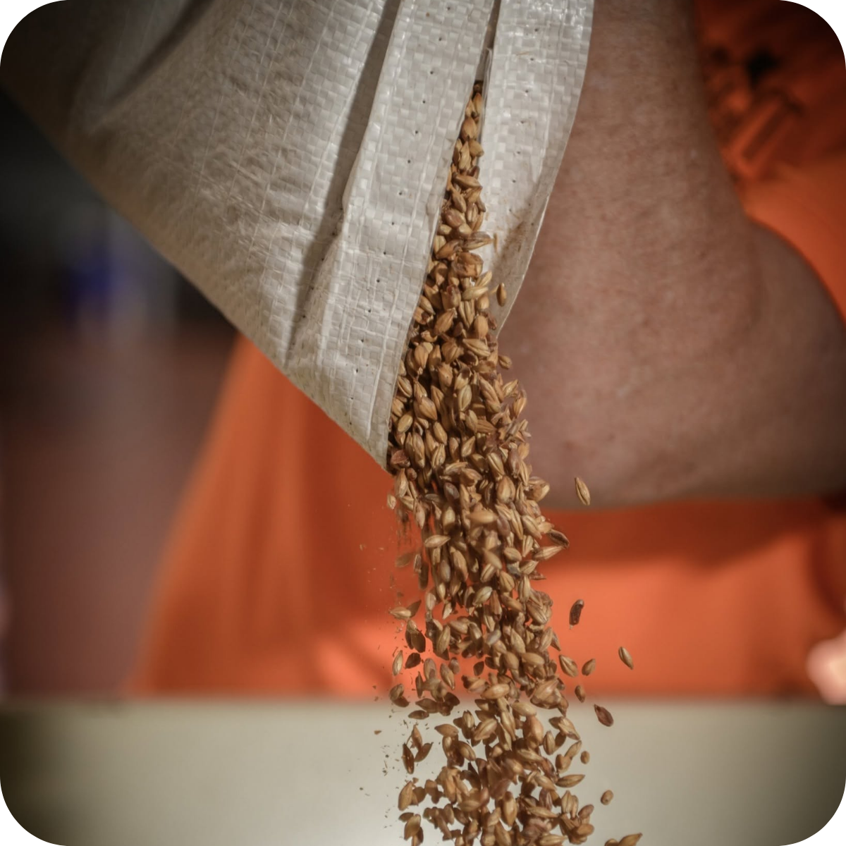 *🤫 Member Only: Bright Brewing 'Bright vs Dark' Box