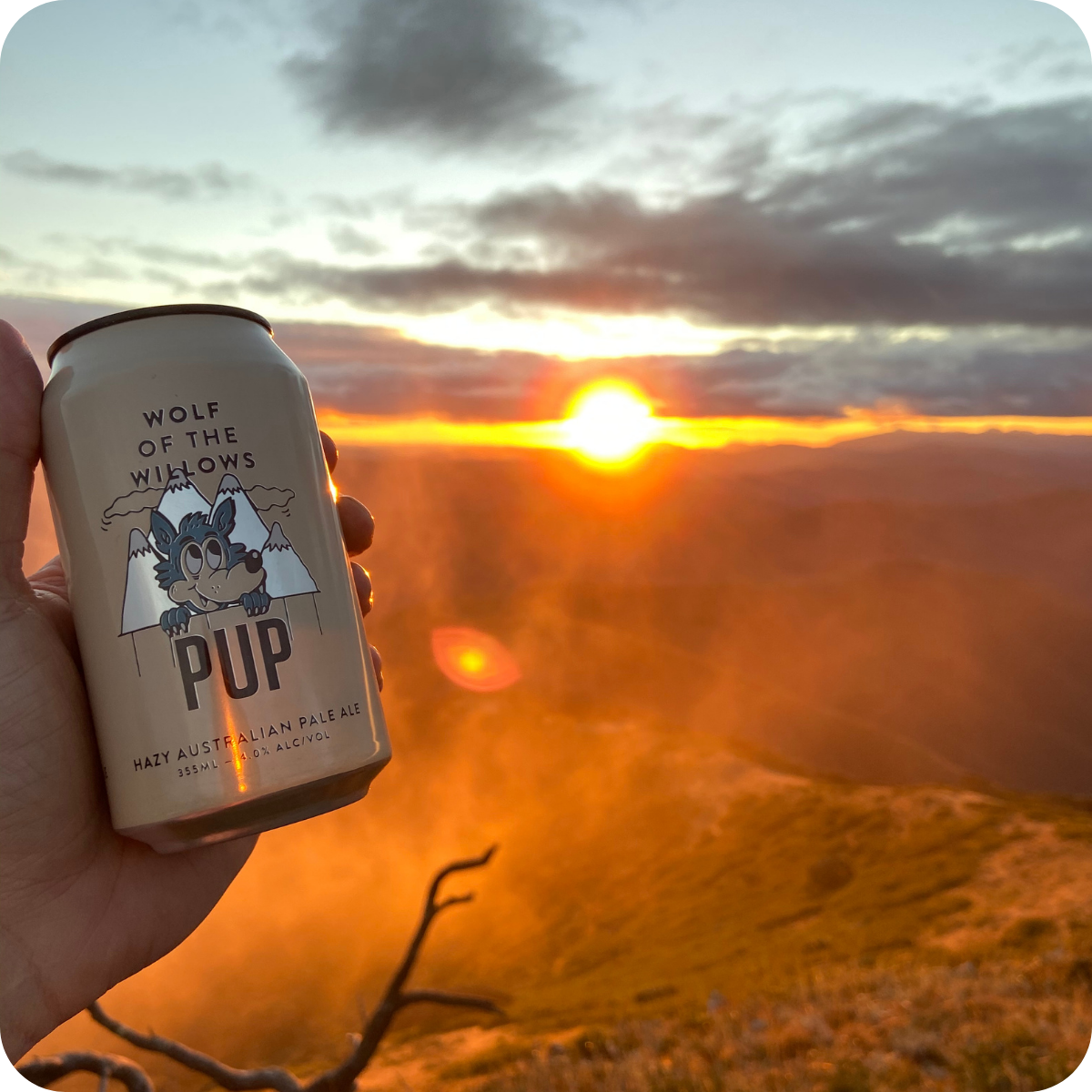 *Showcase Brewery Tour™