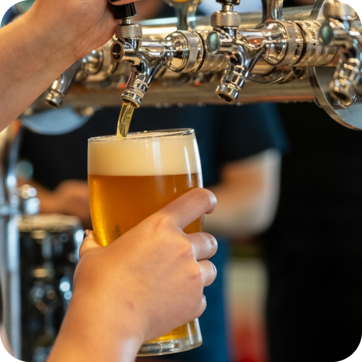 *š Showcase Brewery Tourā¢