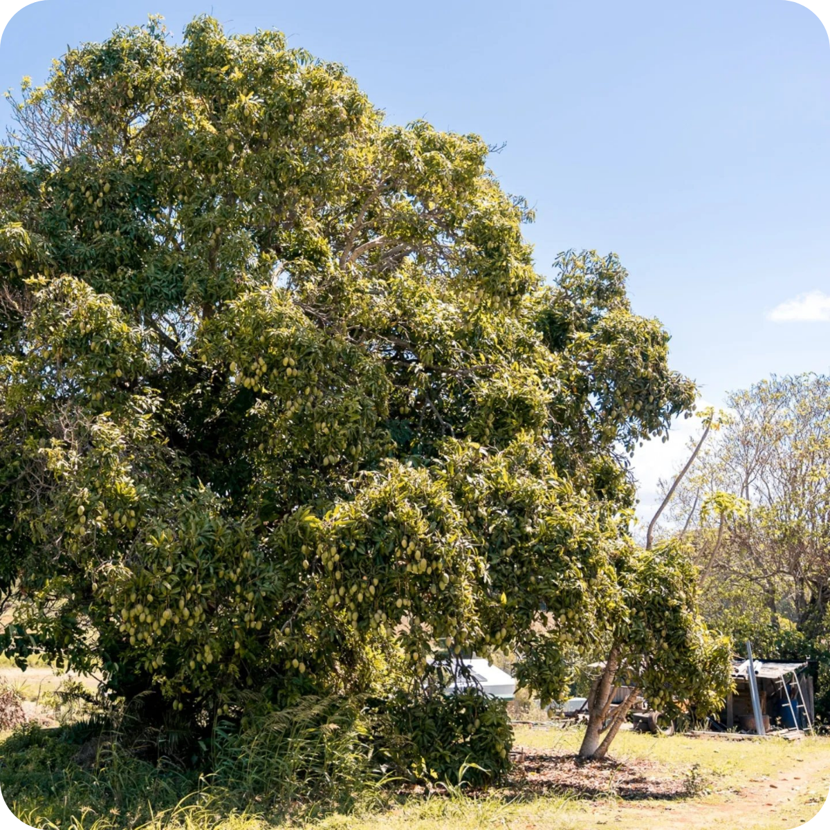 *Big Hop Bomb Brewery Tour™