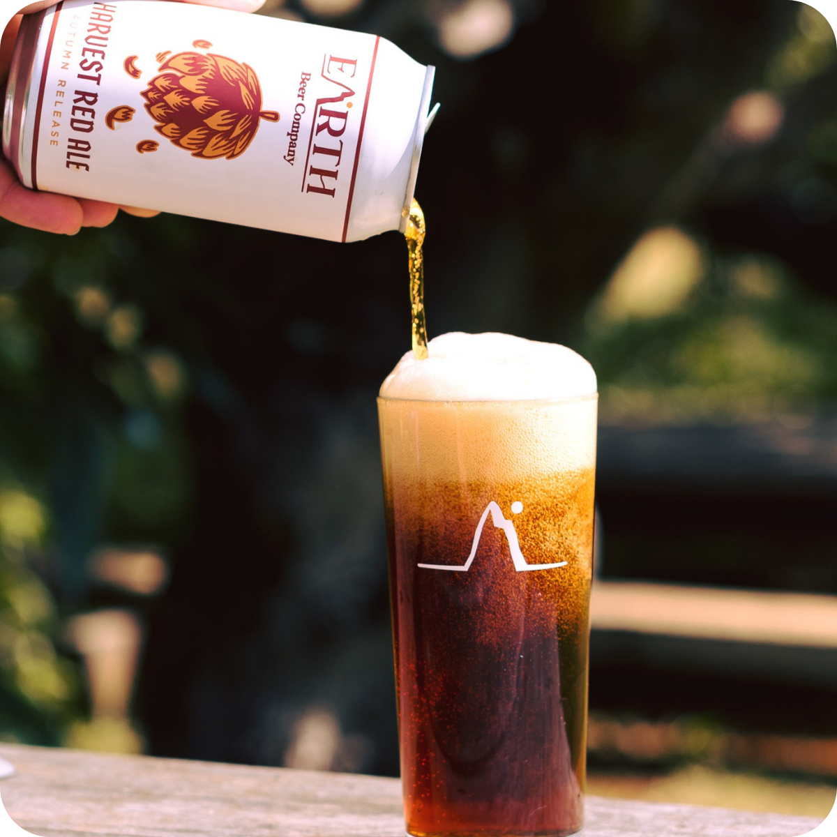 *Big Hop Bomb Brewery Tour™