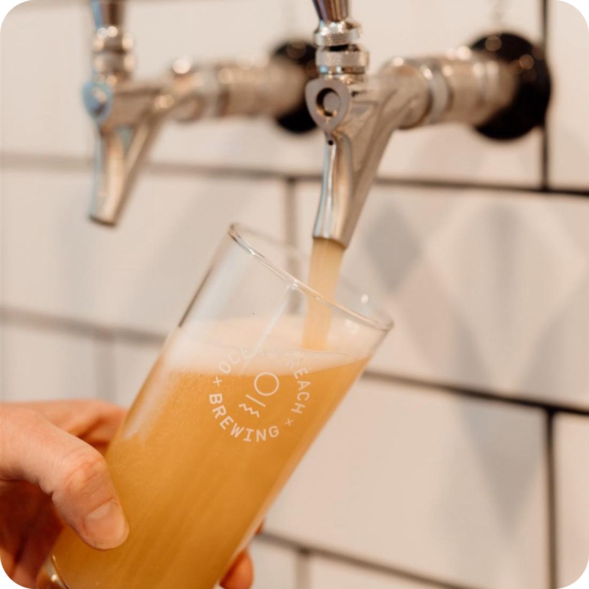 *Big Hop Bomb Brewery Tour™