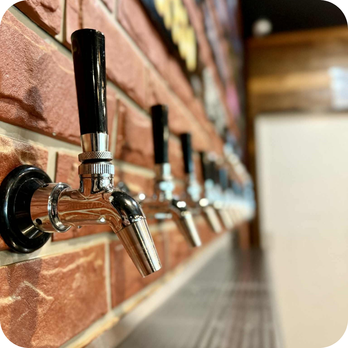 *š Showcase Brewery Tourā¢