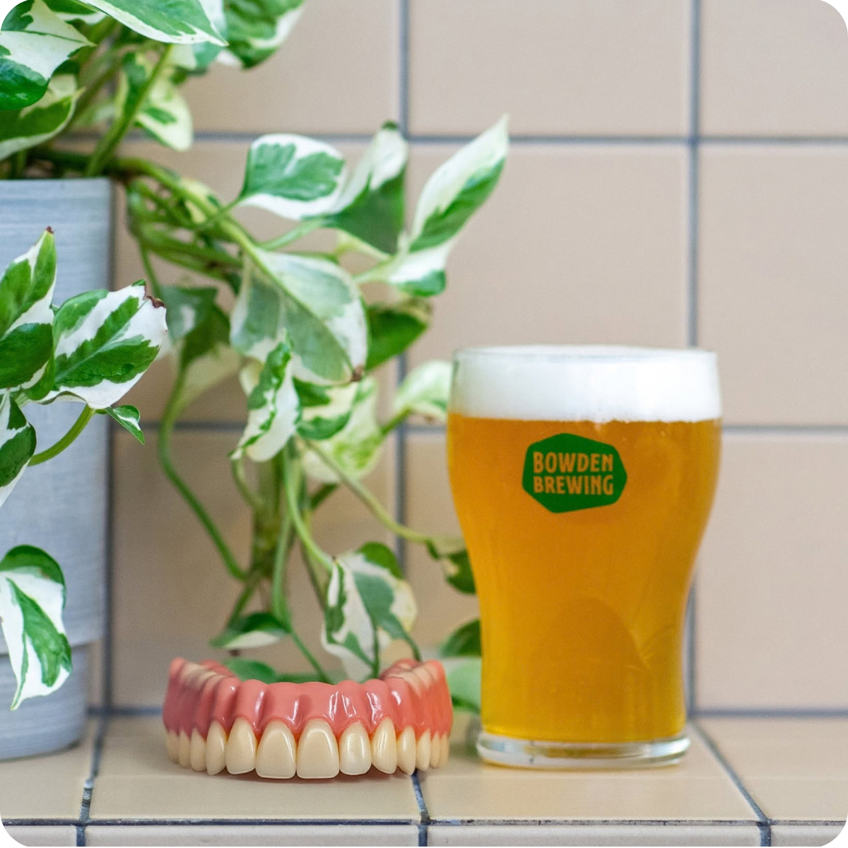 *Showcase Brewery Tour™