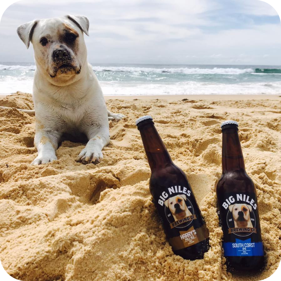 *Big Hop Bomb Brewery Tour™