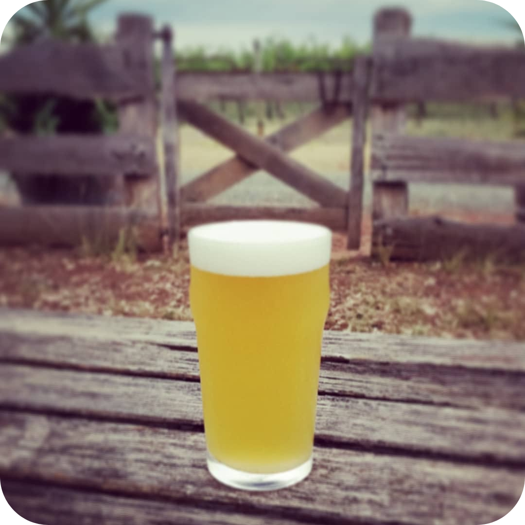 *Big Hop Bomb Brewery Tour™