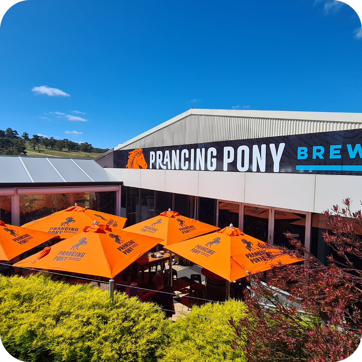 *💎 Showcase Brewery Tour™