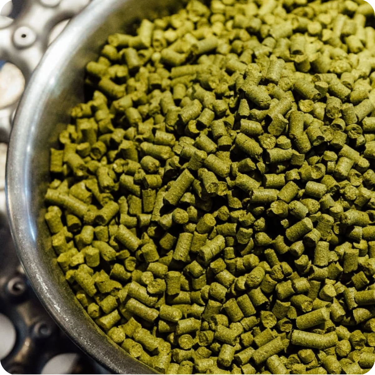 *Big Hop Bomb Brewery Tour™