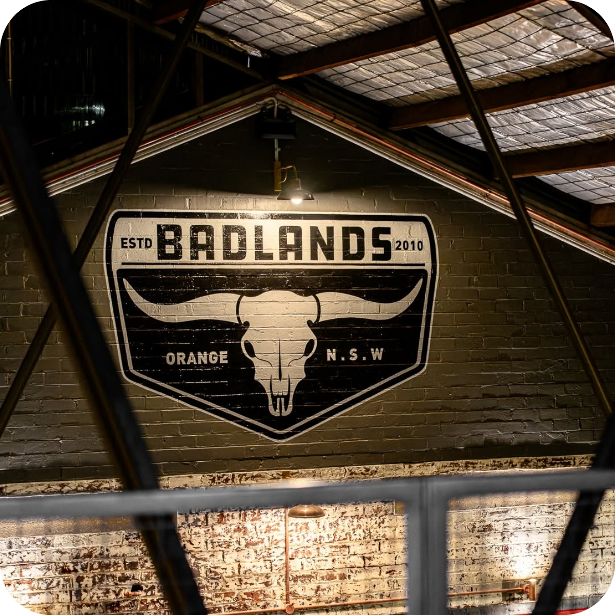 *🤫 Member Only Deal: Badland's Dangerously Drinkable 10 Pack