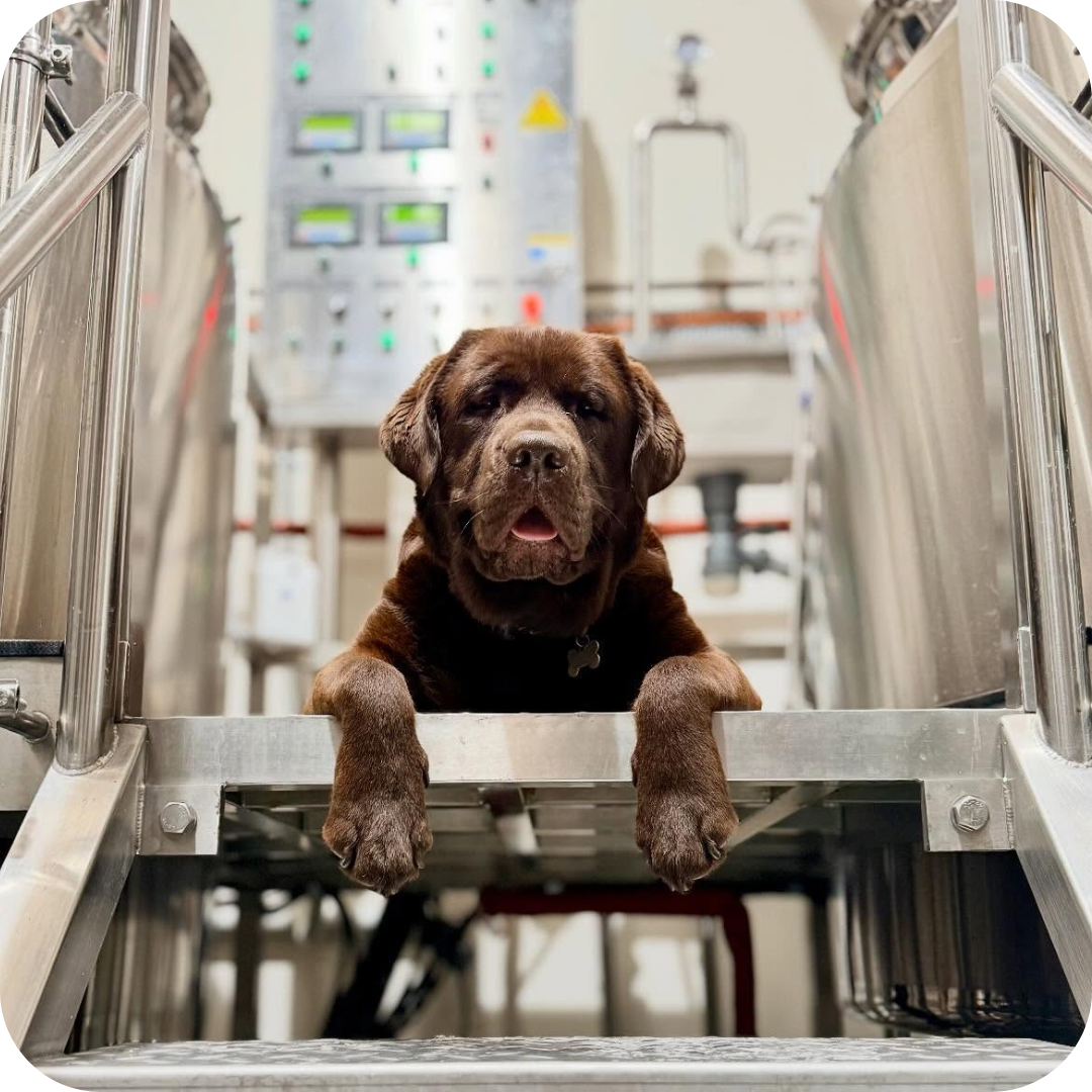 *Big Hop Bomb Brewery Tour™