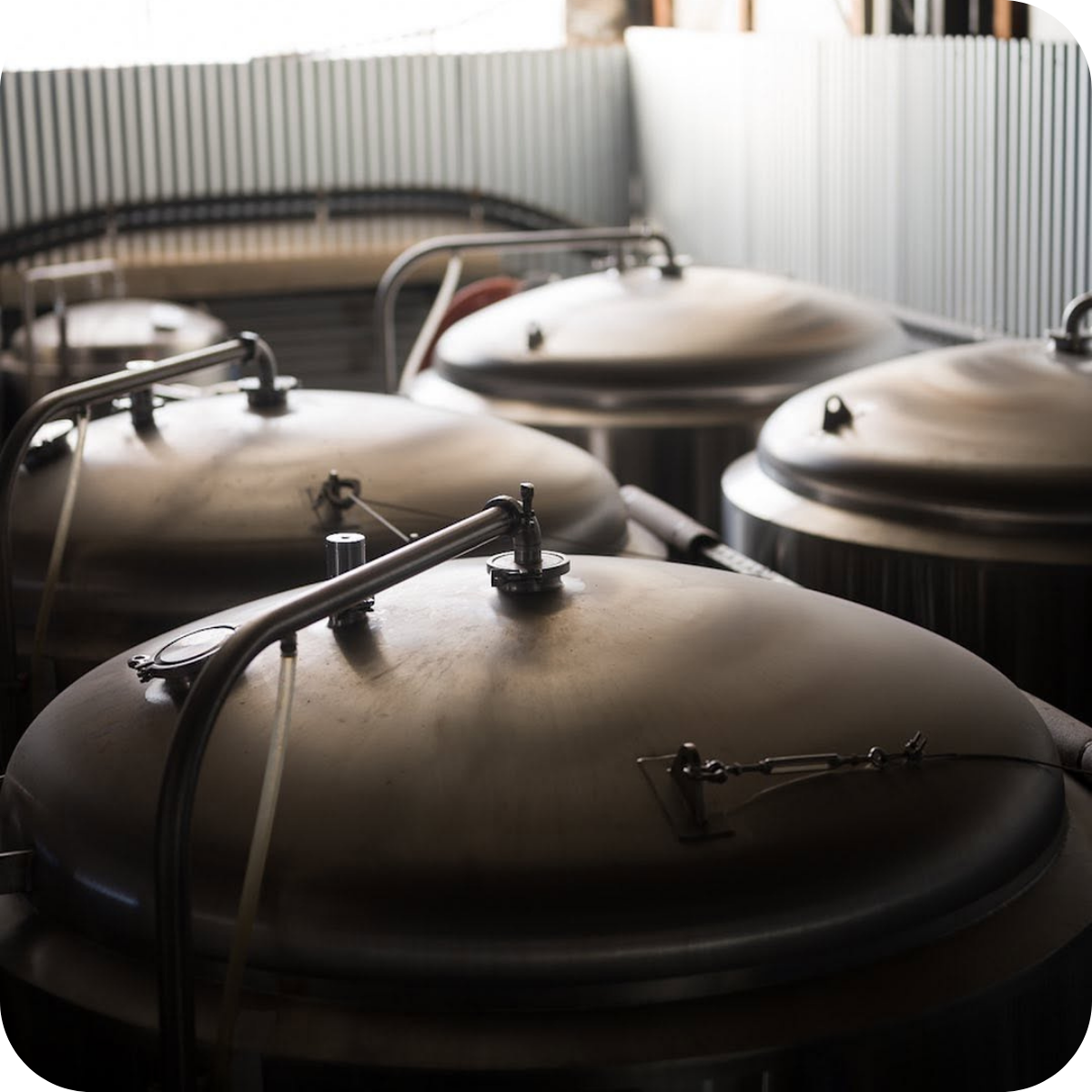 *🤫 Member Only Deal: Badland's Dangerously Drinkable 10 Pack