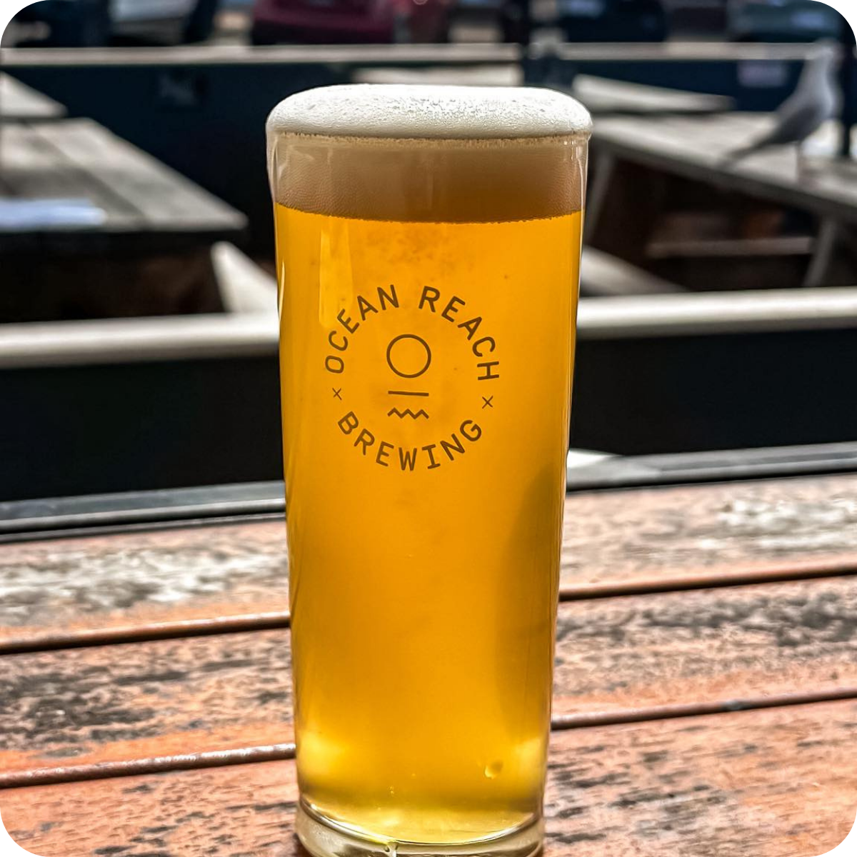 *Big Hop Bomb Brewery Tour™