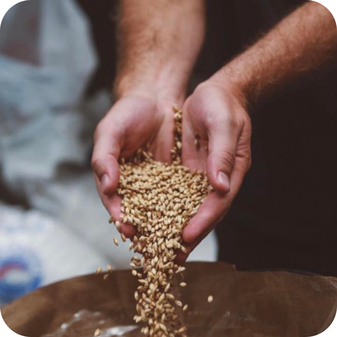 *Showcase Brewery Tour™