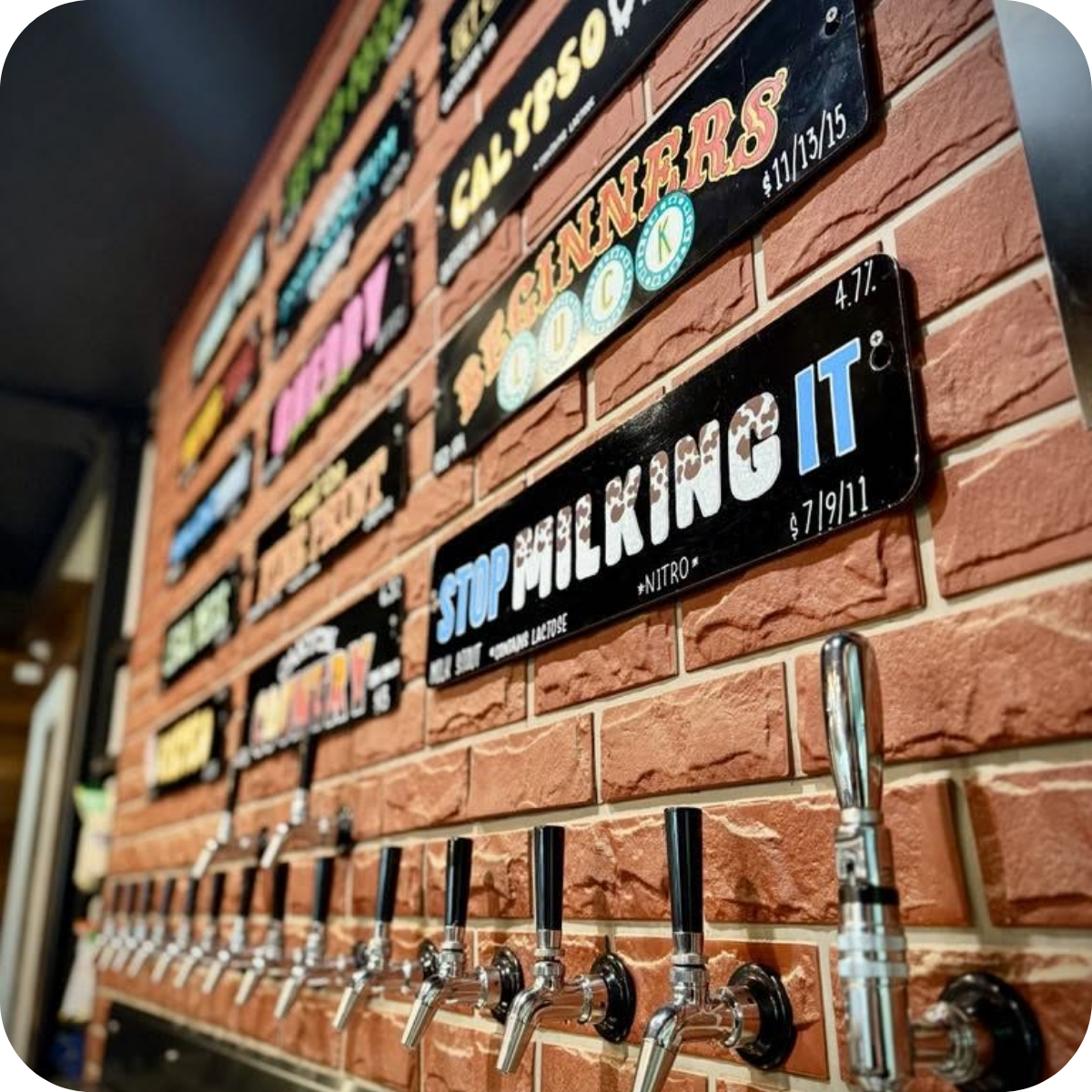 *💎 Showcase Brewery Tour™