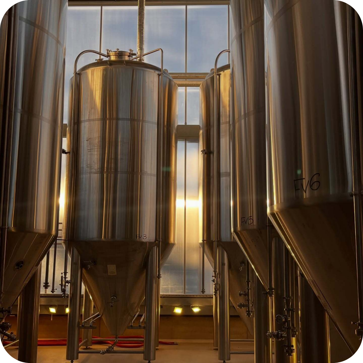 *💣 Big Hop Bomb Brewery Tour™